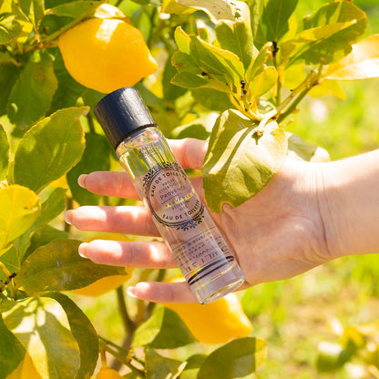 Eau de Toilette Provence 50ml