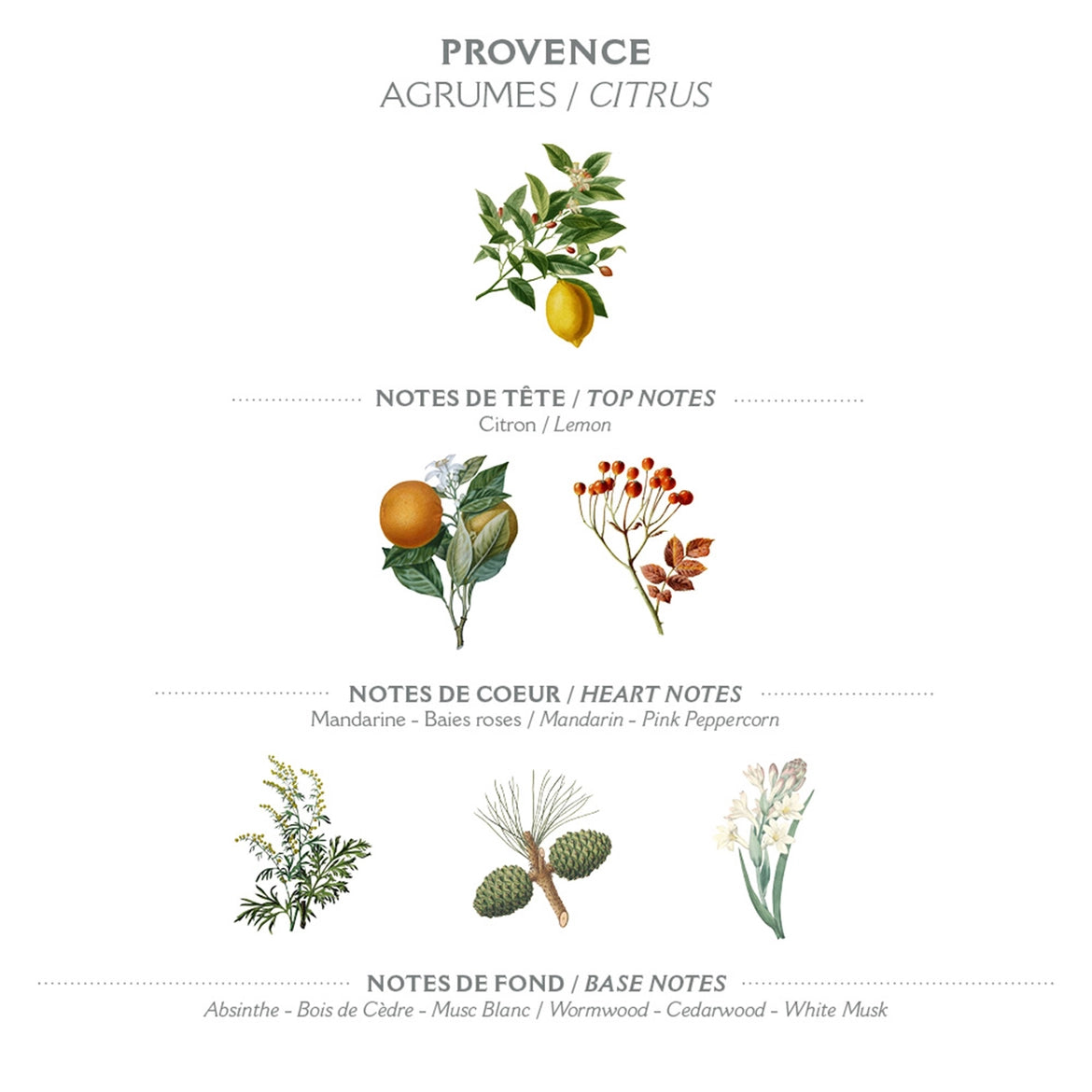 Eau de Toilette Provence 50ml